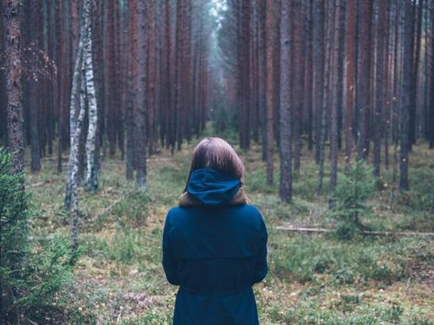 Shinrin yoku, la práctica japonesa de los "baños forestales"