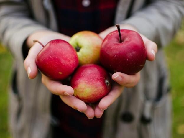 Pincha aquí para ver los alimentos que debes tener en tu dieta para adelgazar antes de Navidad/unsplash