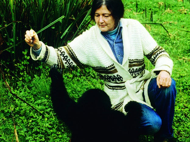 Defensoras de la Tierra, por Cristina Morato