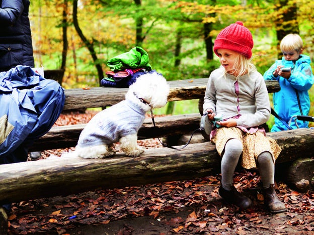 La escuela y el respeto a los animales, por Julia Navarro