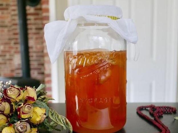 Té kombucha, la bebida probiótica y saludable de la que todo el mundo habla