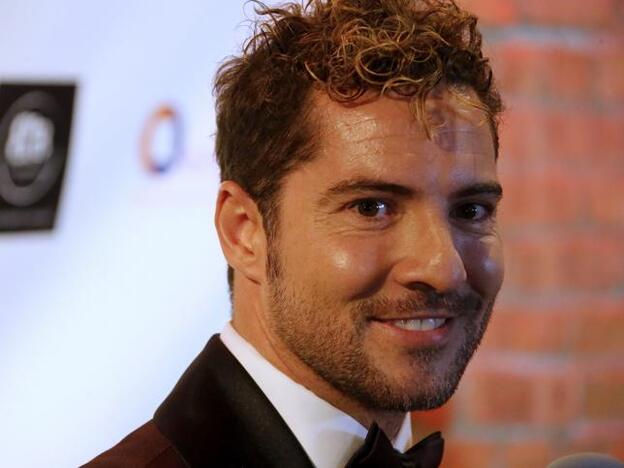 David Bisbal demanda a su ex pareja, Elena Tablada