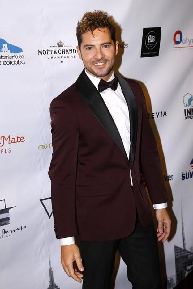 Los motivos de David Bisbal para demandar a Elena Tablada