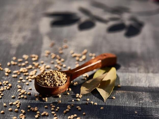 Freekeh: ¿por qué es tan especial este superalimento?