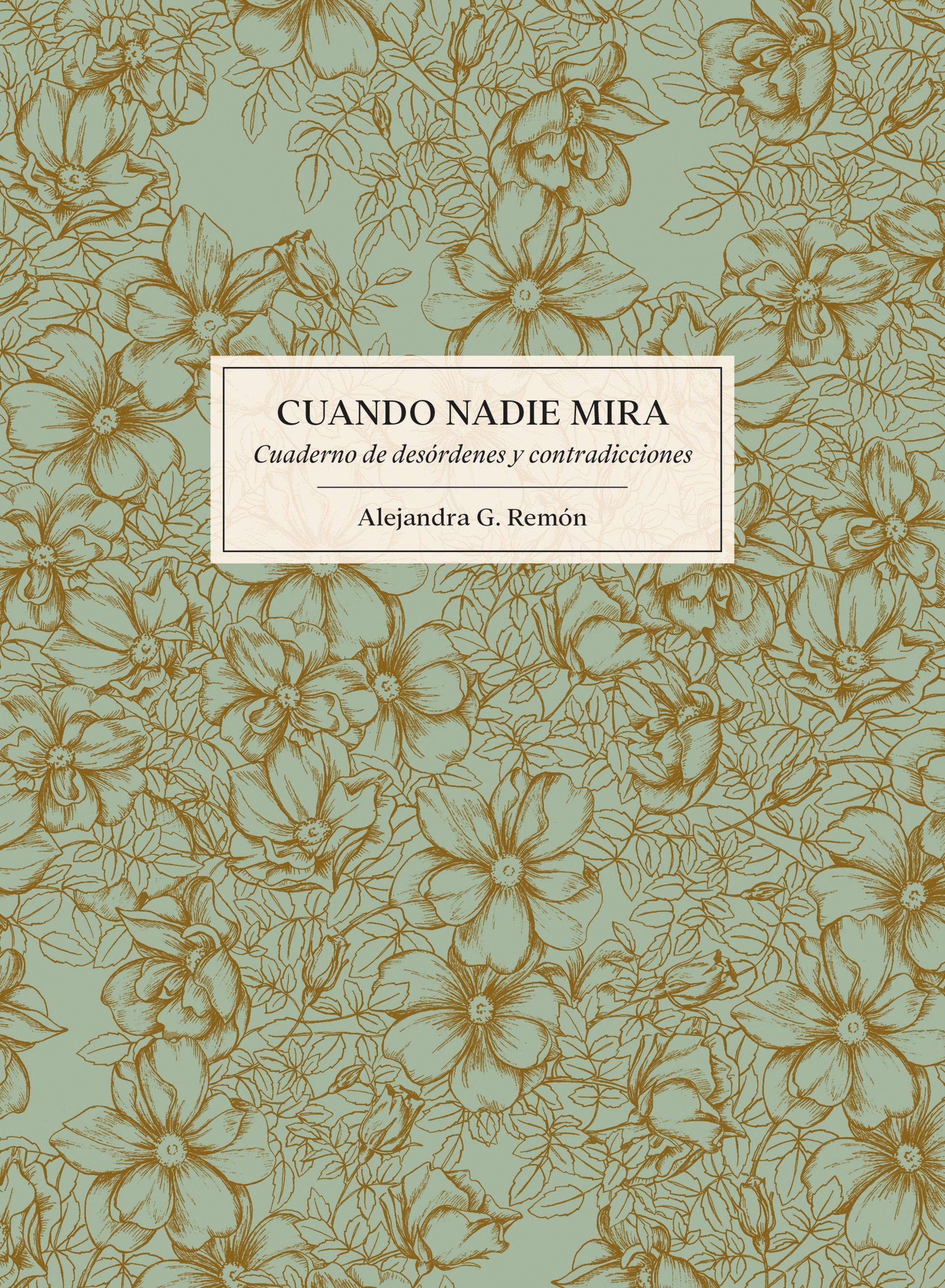 'Cuando nadie mira', de Alejandra G. Remón