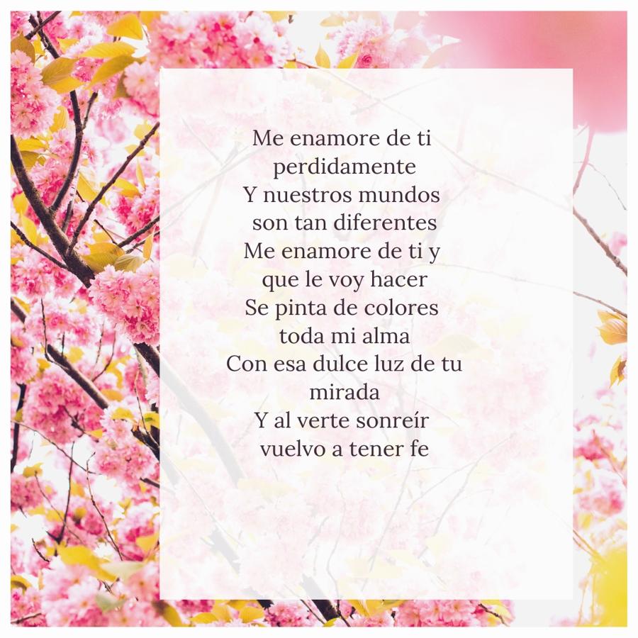 Las frases más bonitas de las canciones de David Bisbal