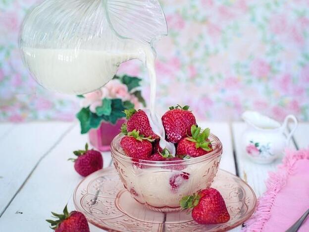 Recetas para hacer tus propias leches vegetales en casa