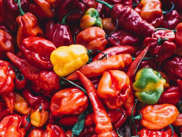 Los 30 alimentos con hierro que te harán olvidarte del dolor de cabeza y el cansancio