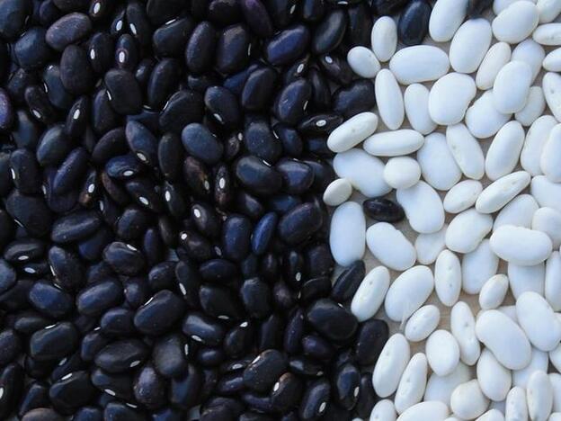 Alubias negras, el superalimento del momento