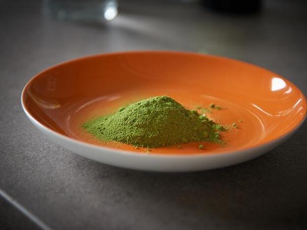 Beneficios saludables de la moringa, el árbol de la vida