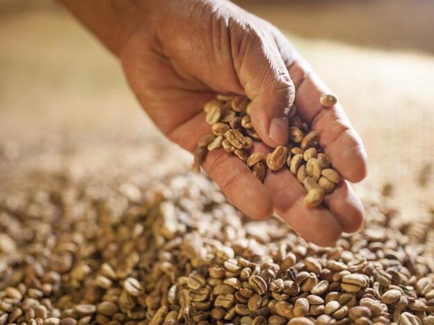 6 curiosidades del café orgánico que desconocías y dónde comprarlo