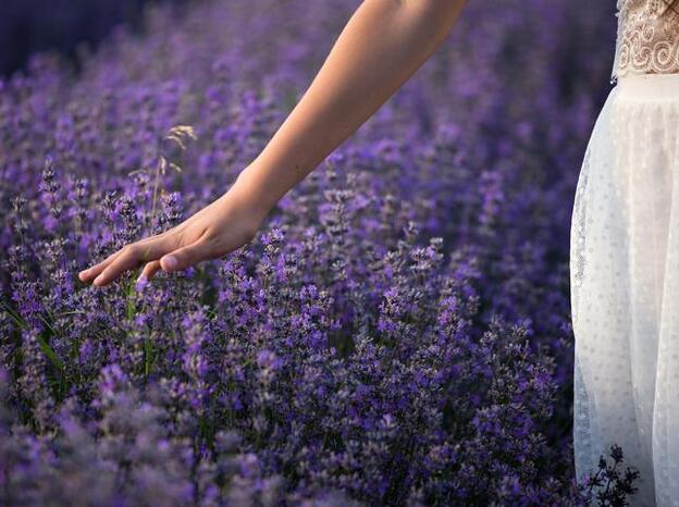 ¿Estresada? Estas flores te ayudarán a relajarte