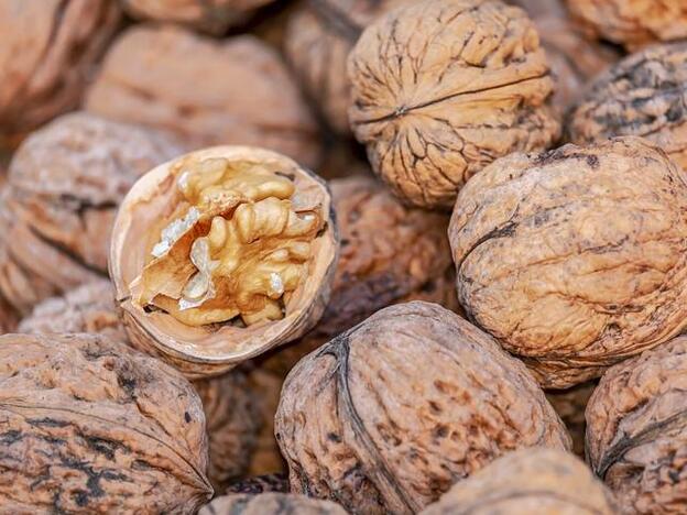 Por qué la Coenzima Q10 es uno de los mejores suplementos antiedad que puedes tomar