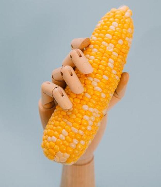 ¿Cómo se masturban los españoles? Un estudio lo desvela