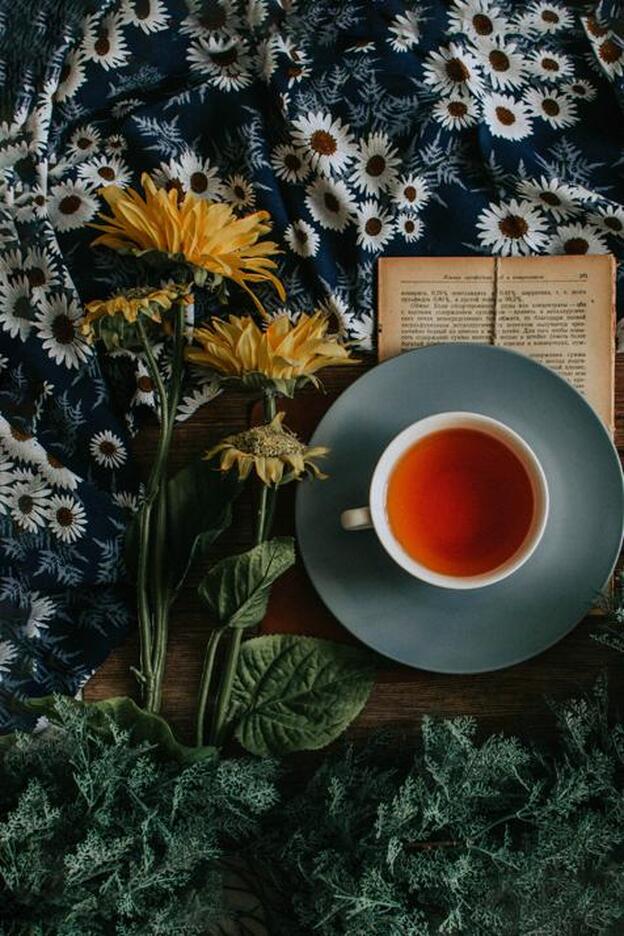 Guayusa, la bebida que despierta como un café y tiene más antioxidantes que el té verde