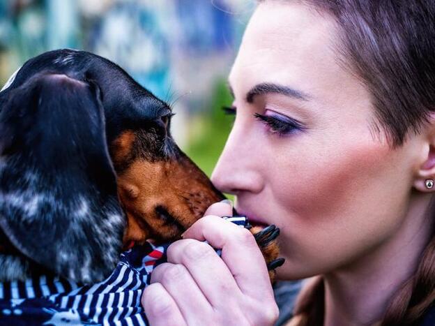 Sí, tu perro nota cuándo estás estresada y además se lo estás transmitiendo