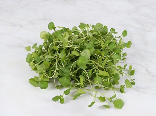 El berro favorece tu desempeño sexual