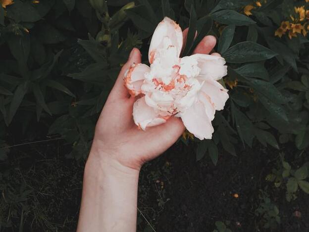 5 técnicas de masturbación femenina con las que llegarás al orgasmo