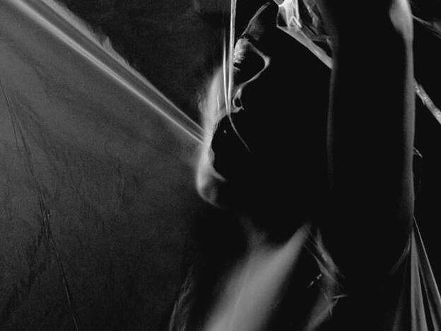 La postura del pájaro carpintero, ¿horror o genialidad?