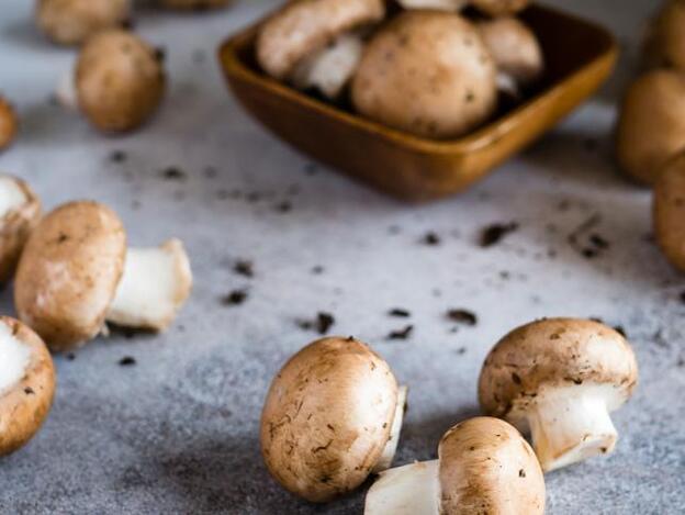 ¡Llega el otoño!: Estos son los beneficios de comer setas