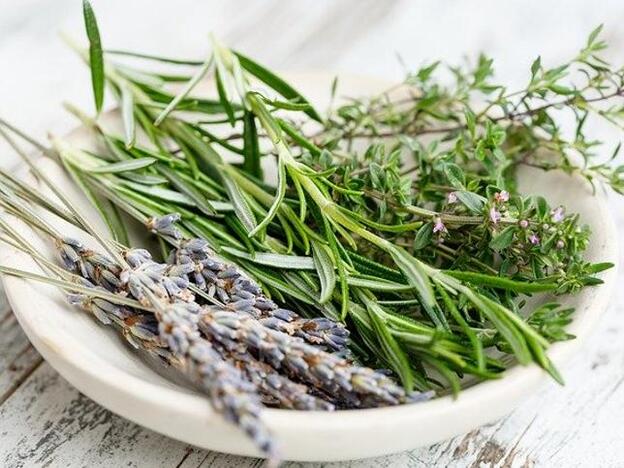 Los increíbles beneficios de la ajedrea que todavía desconoces