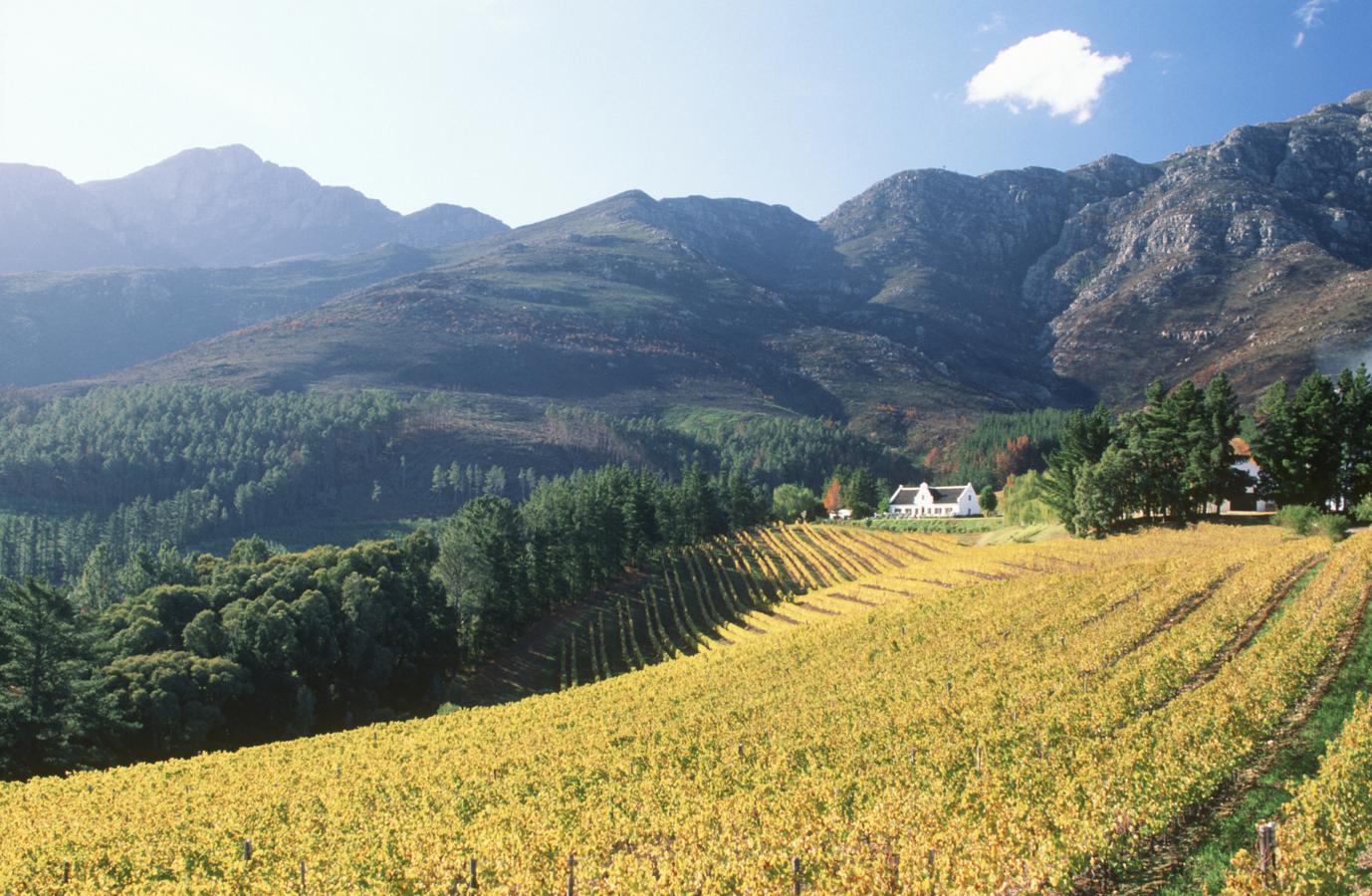 Cape Winelands (Sudáfrica)