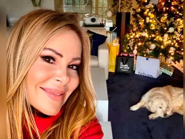 Est es la imagen con la que Ana Obregón agradece el cariño y felicita la Navidad a sus 'followers'./instagram.