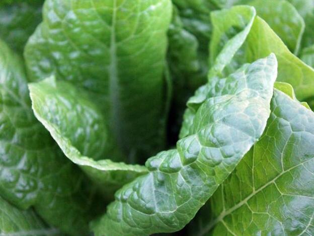 5 gestos que te ayudan a adelgazar en el día a día