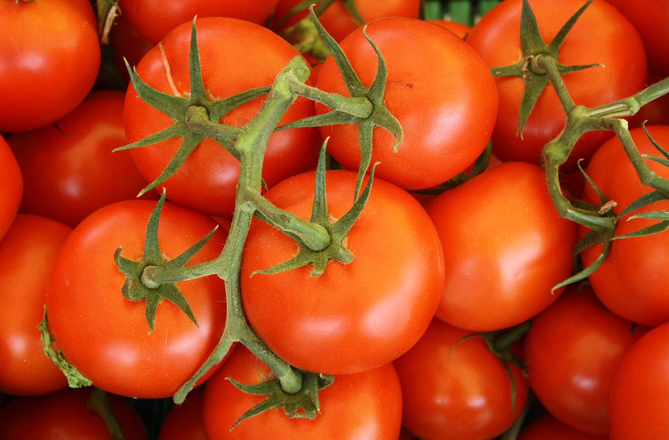 Tomates, ricos en atioxidantes