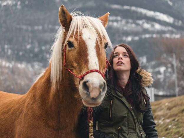 Champú para caballos, el clásico infalible para que tu pelo crezca más rápido y fuerte