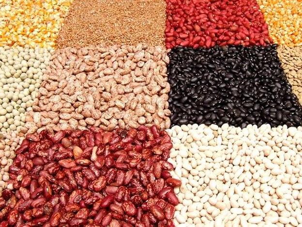 Azuki, estos son los superpoderes de la judía japonesa