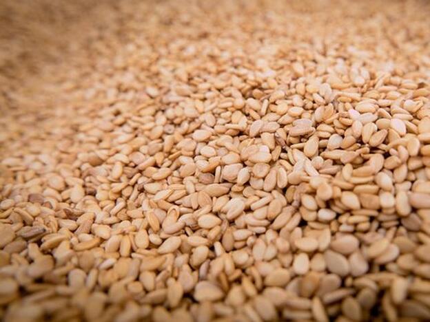 ¿No has probado aún el tahini? Te contamos por qué deberías empezar a incluirlo en tu dieta