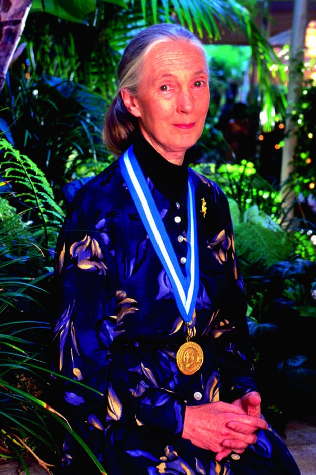 Jane Goodall, la voz que defiende el planeta y ahora más que nunca