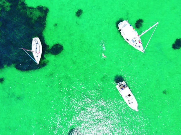 Listas, por Lourdes Garzón