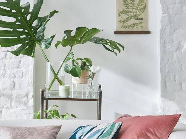 Primark Home nos da tres ideas para decorar nuestra casa sin gastar (casi) dinero