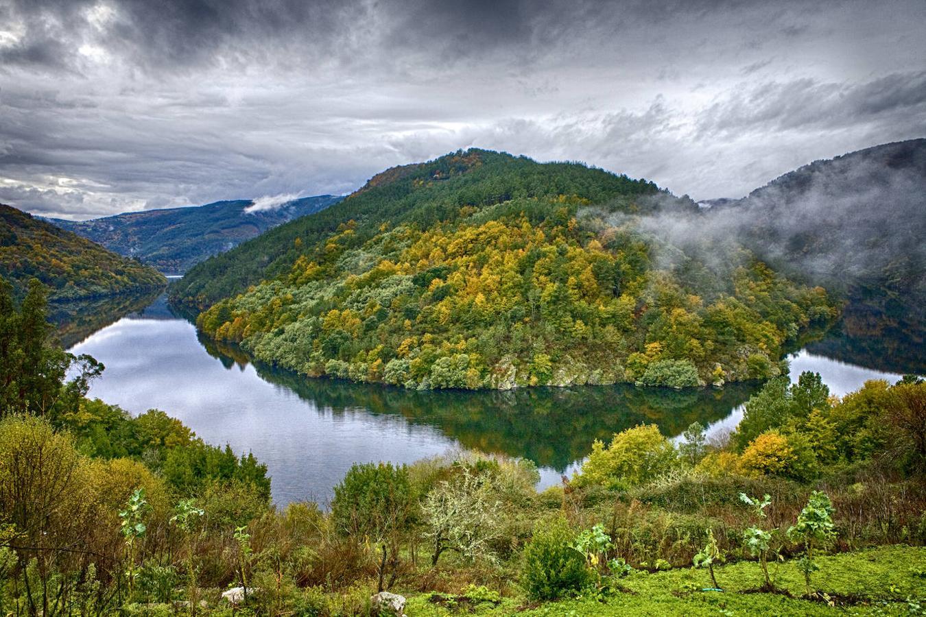 10 bosques maravillosos, ideales para una escapada y que en otoño están más bonitos que nunca