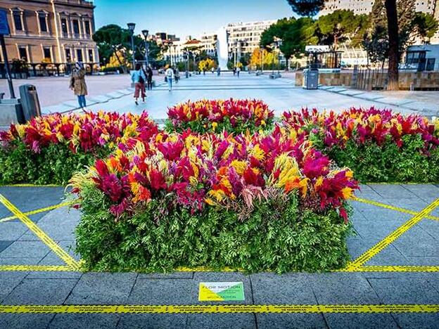 Flor Motion: la 'guerrilla floral' que busca humanizar las ciudades toma por sorpresa el centro de Madrid