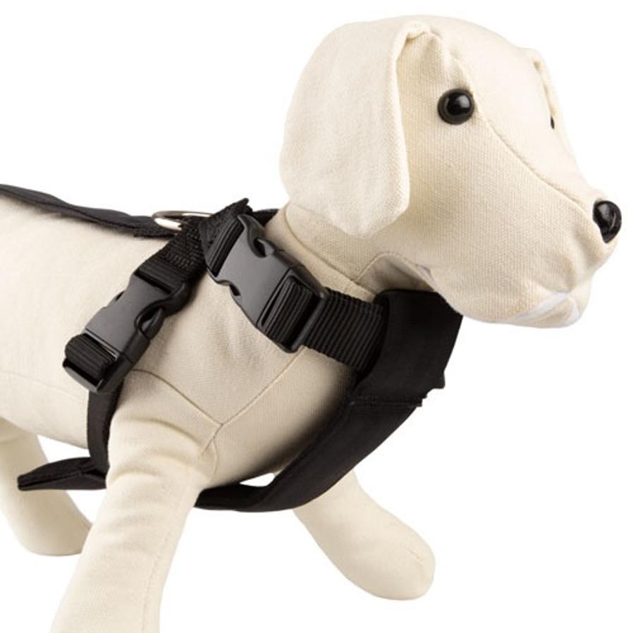 ¡Llegan las rebajas más esperadas para tu mascota, el auténtico amo de la casa!