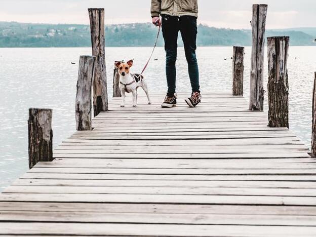3 trucos de experto muy sencillos que ayudan a calmar el estrés en un tiempo récord