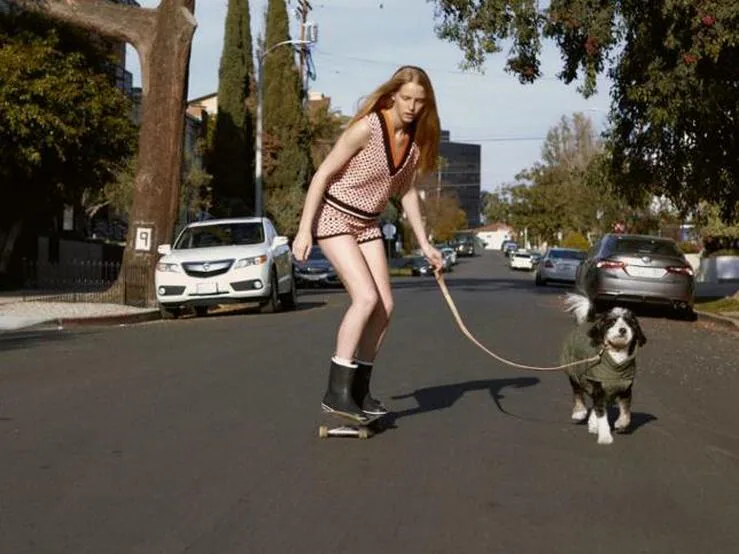 Zara para perros: Chaquetas, correas y chubasqueros en la colección más loca de Inditex para ir a juego con tu mascota