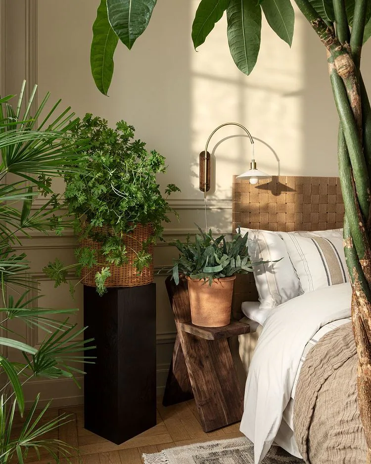 Fotos: Cómo decorar tu casa con plantas de interior: fichamos las ideas más  bonitas de Instagram en H&M Home y Amazon Home | Mujer Hoy