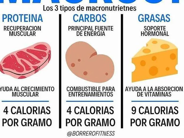 No te mates en el gym: qué hacer para tener un cuerpo musculoso