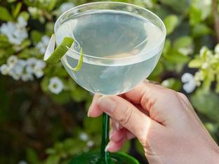 ¿Un gin tonic para comer, incluso si estás a dieta? Ahora sí, y te contamos cómo y por qué va a ser tu bebida favorita este verano