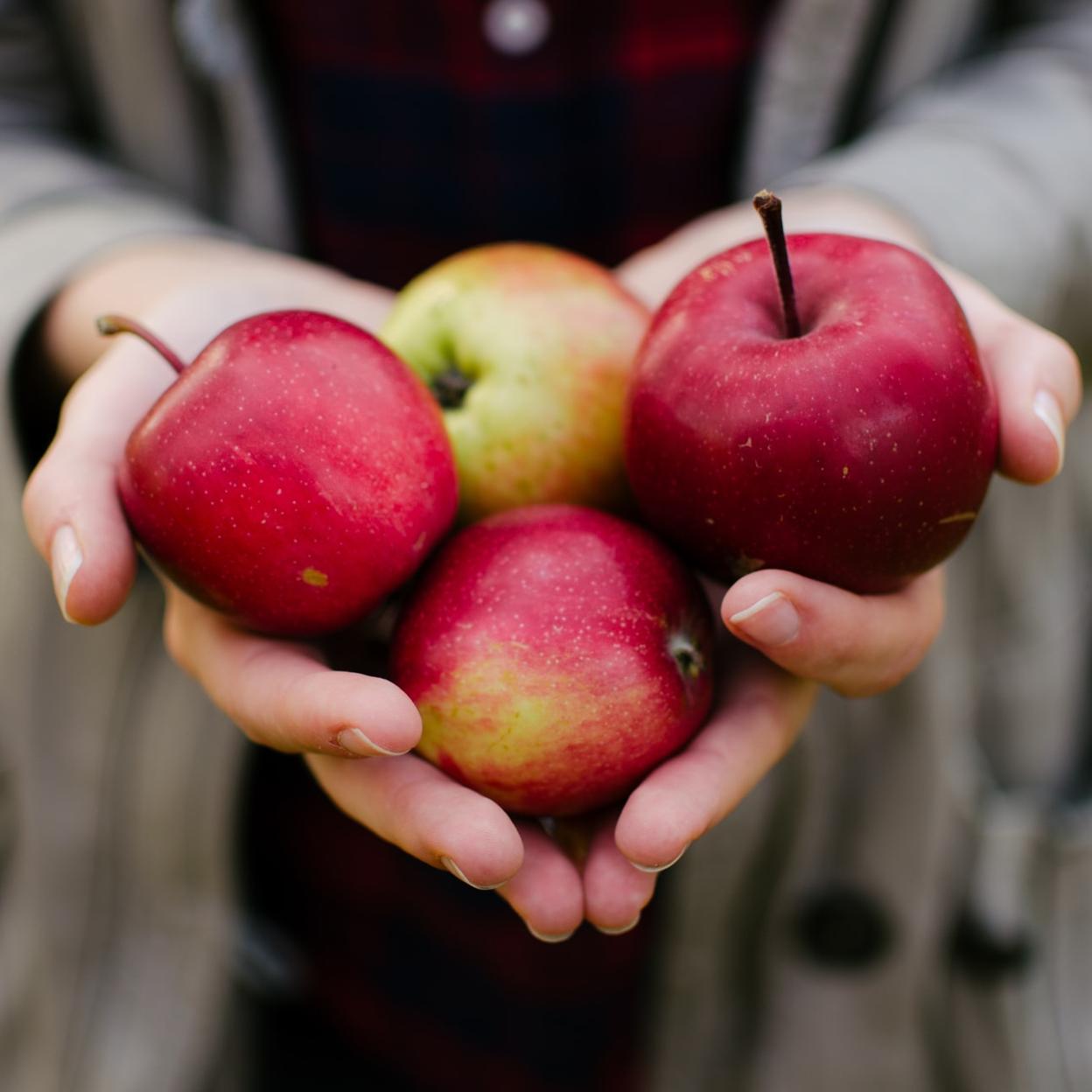 Pincha para ver recetas Futurlife para pasarte a la vida sana./TETIANA BYKOVETS / UNSPLASH