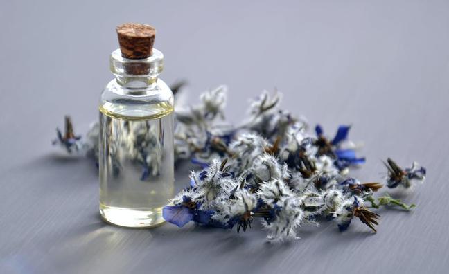 Lavanda, mucho más que aroma y color: descubre todos sus beneficios para la salud