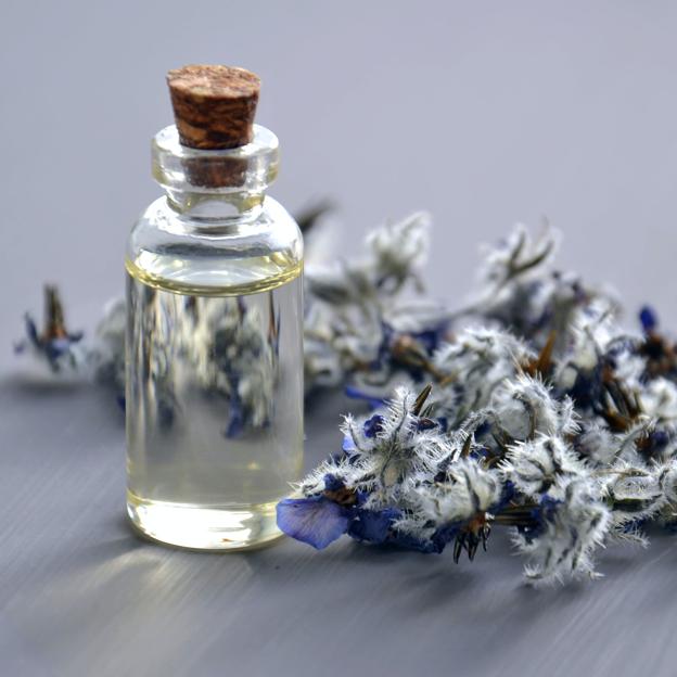 Lavanda, mucho más que aroma y color: descubre todos sus beneficios para la salud