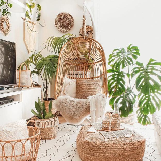 Cómo cuidar tus geranios, la mejor planta con flor para ahuyentar a los mosquitos en verano