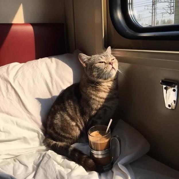 Horóscopo Mujerhoy: Libra viviendo el presente, Escorpio emocionado y septiembre en el calendario