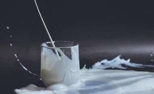Las verdaderas diferencias entre la leche orgánica y la leche convencional: ¿cuál de las dos tiene más nutrientes y cuál es más saludable?