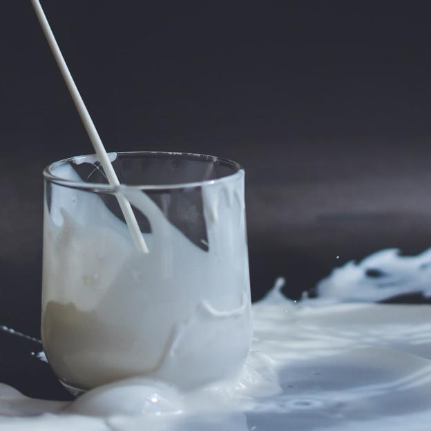 Las verdaderas diferencias entre la leche orgánica y la leche convencional: ¿cuál de las dos tiene más nutrientes y cuál es más saludable?